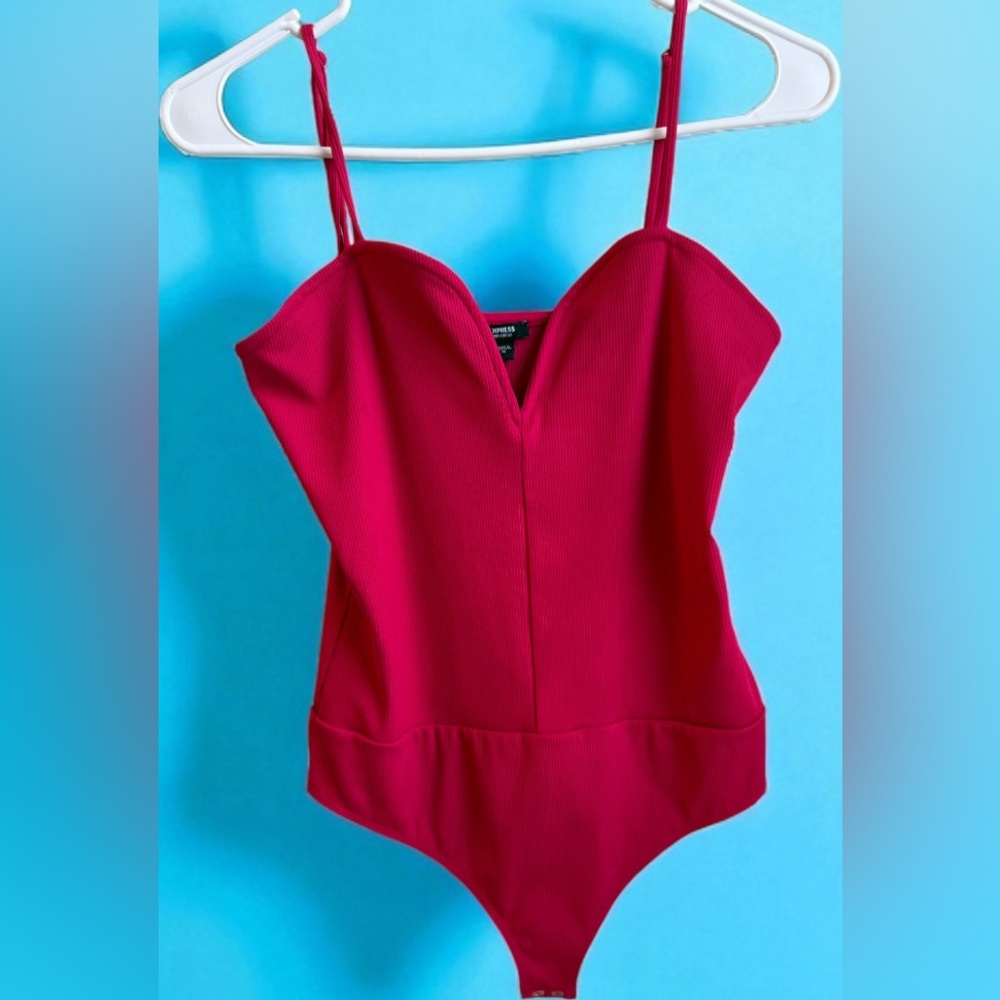 Express Pink Bustier Bodysuit Top